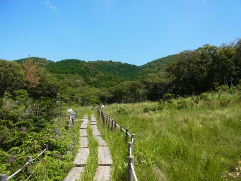 葦毛湿原